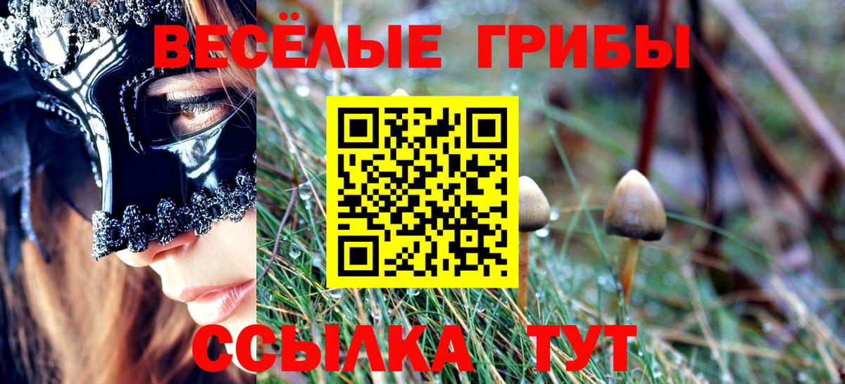 Коломна  Псилоцибиновые грибы Cubensis  Вход с VPN 